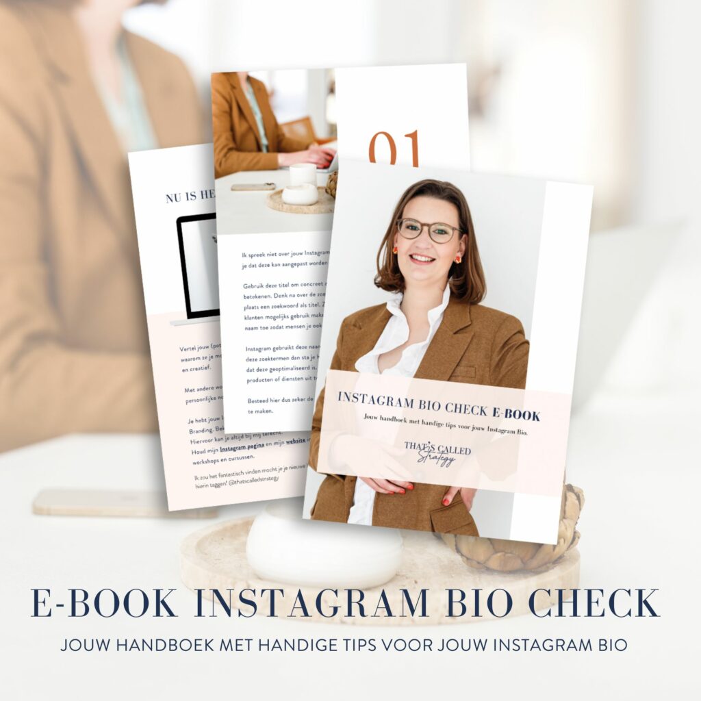 Thats Called Strategy Instagram bio check e-book